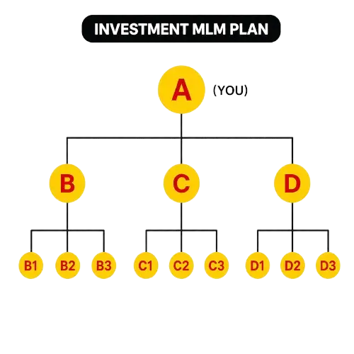 Top Rated MLM Plans: Different types MLM compensation plans